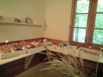 2010 7gatu 023.jpg