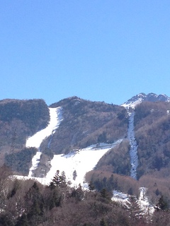 2013 0318 002.jpg