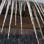 IMG_0595.JPG