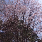 IMG_6073.JPG