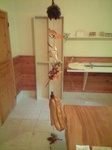 shinaphotos1 114.jpg